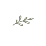 Illustration végétale design du restaurant L’Encre des Calanques Cassis